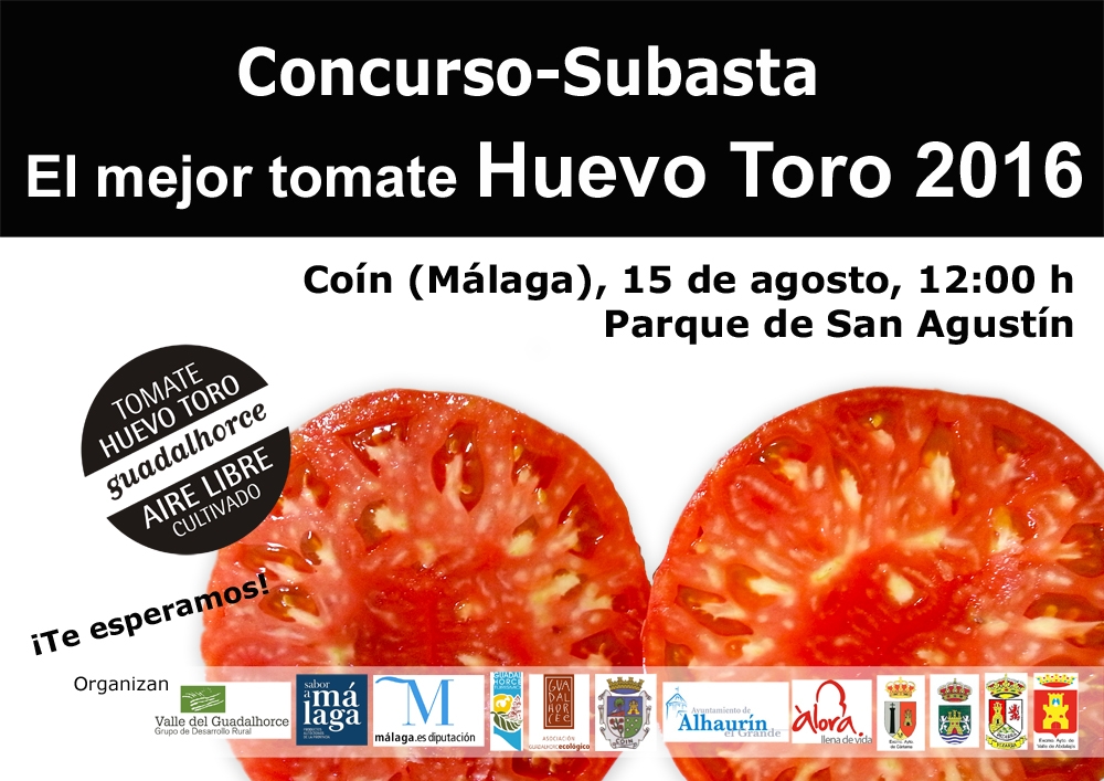 CONCURSO-SUBASTA MEJOR TOMATE HUEVO TORO 2016